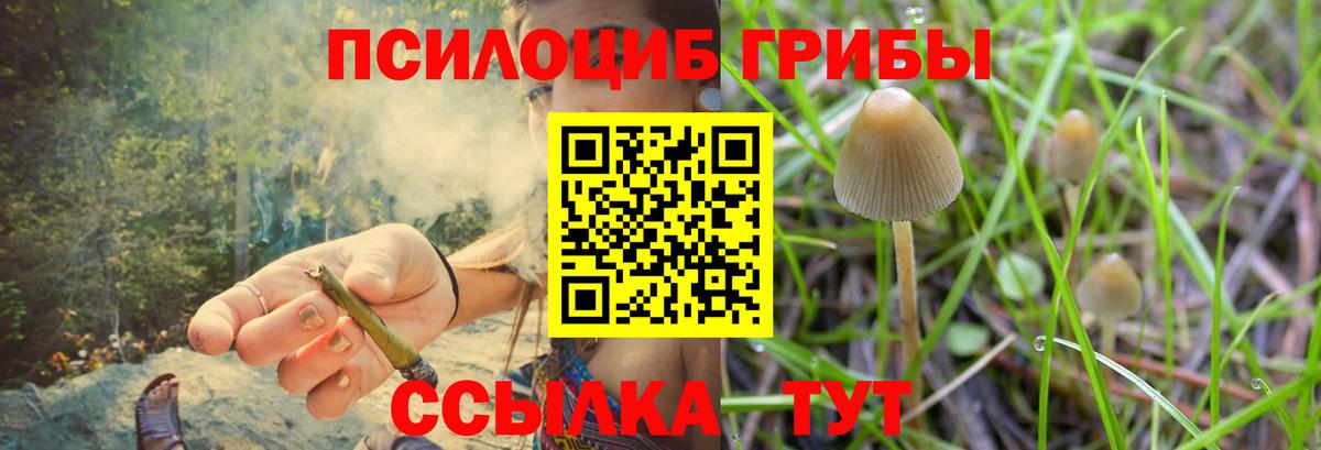 Галлюциногенные грибы прущие грибы  Вход с VPN  сколько стоит  Краснознаменск 