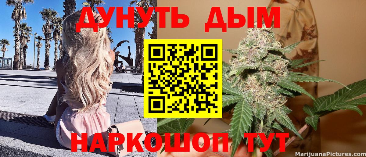 Каннабис план  Канабис VHQ  Вход с VPN  Бошки Шишки конопля  Краснознаменск 
